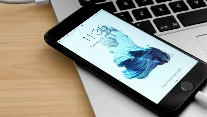 Can’t Change The Home Screen Wallpaper On My iPhone