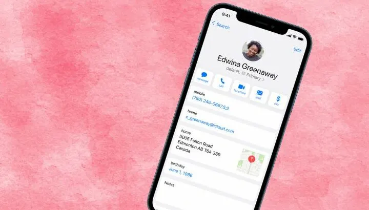 How Many Contacts Do I Have On My iPhone?