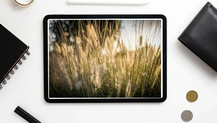 Can iPads have Moving Wallpapers?