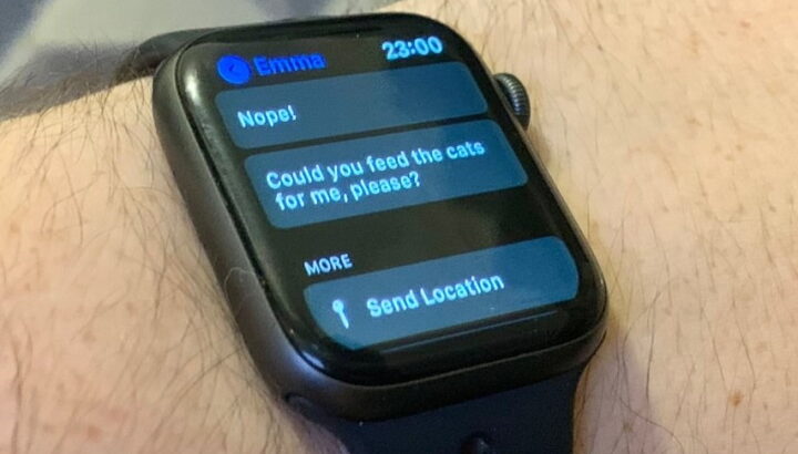 Can You Text On Apple Watch GPS?