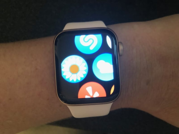 How to control Zoom on your Apple Watch?