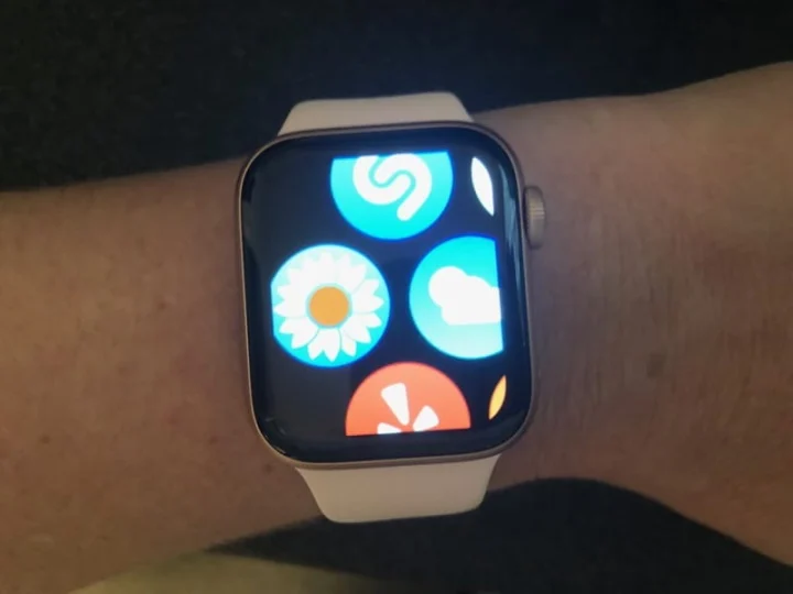 How to control Zoom on your Apple Watch?