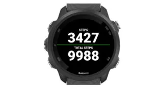 Why Are My Steps Not Showing On Garmin Connect